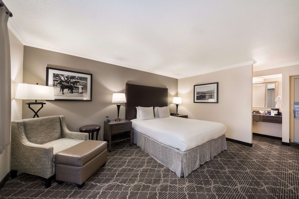 Standard Room, 1 King Bed, Non Smoking, Refrigerator & Microwave (Pet Friendly)