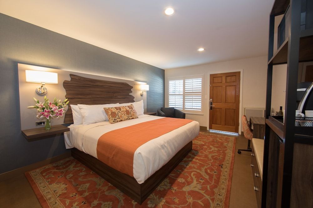 The Vine Inn Davis Deluxe Single Room, 1 King Bed, Non Smoking 2