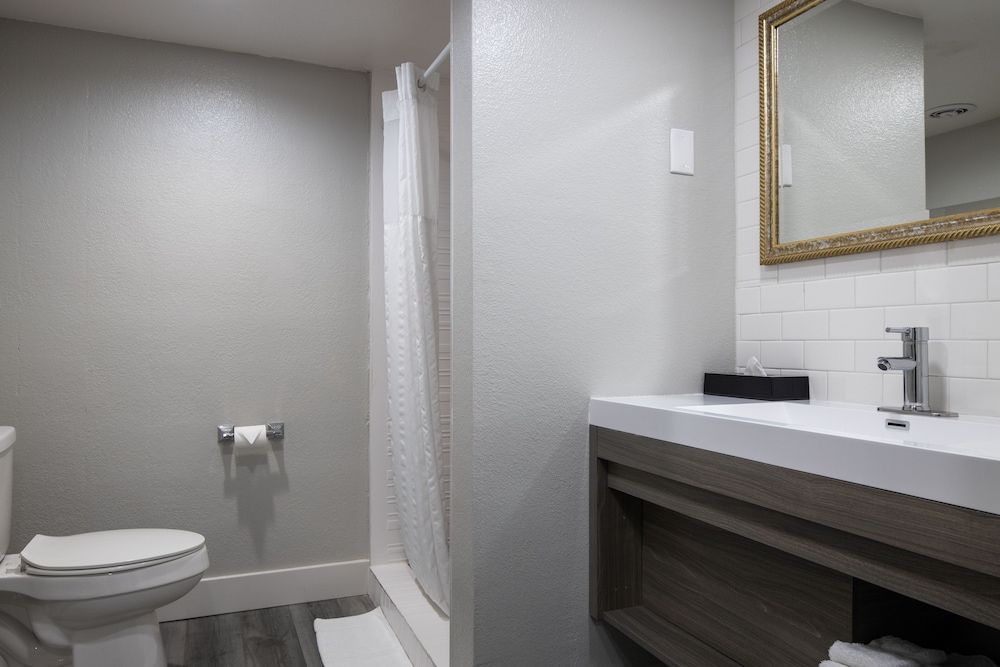 Prodigy Hotel, a Days Inn by Wyndham Standard Room, 1 King Bed 8