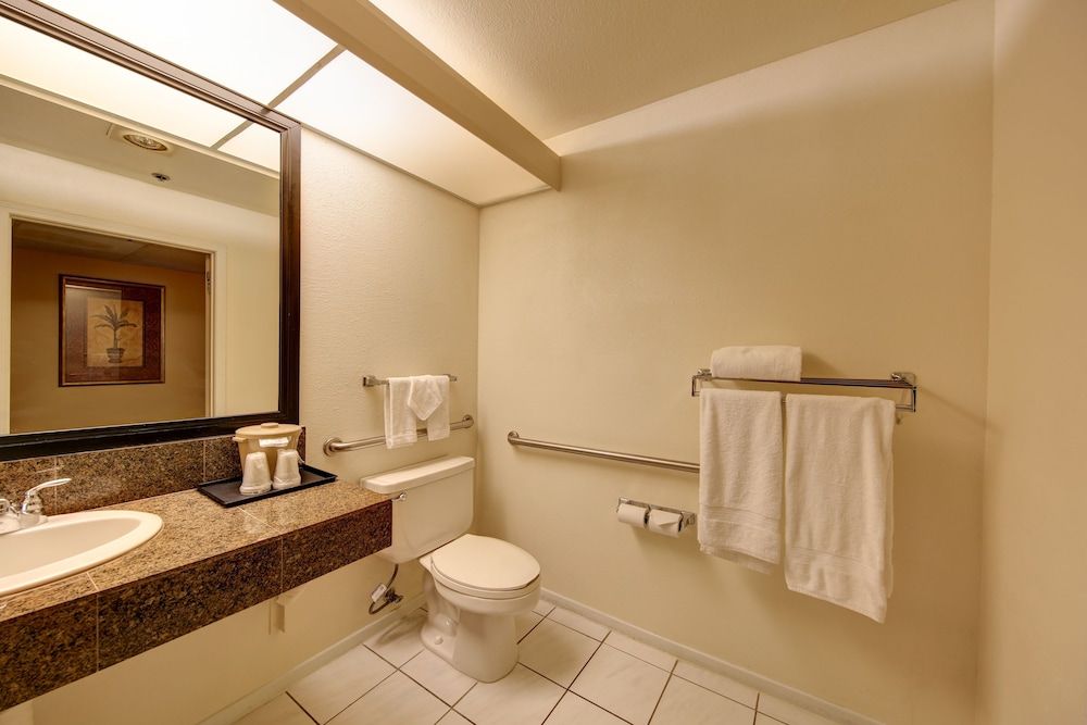 Room, 1 King Bed, Mountain View