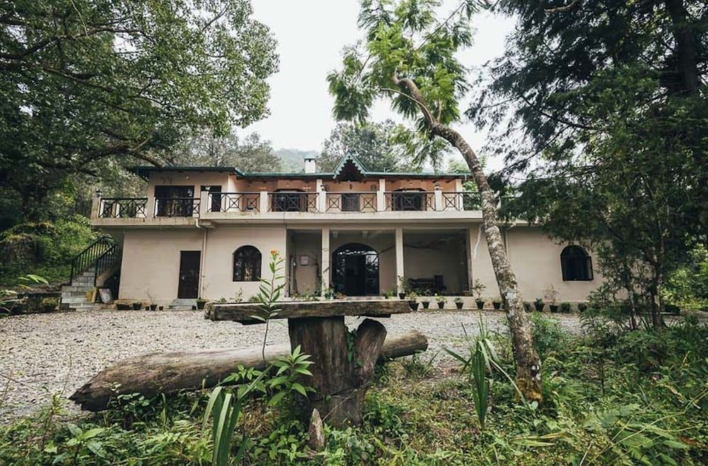 undefined The Camphor Tree-Pura Stays