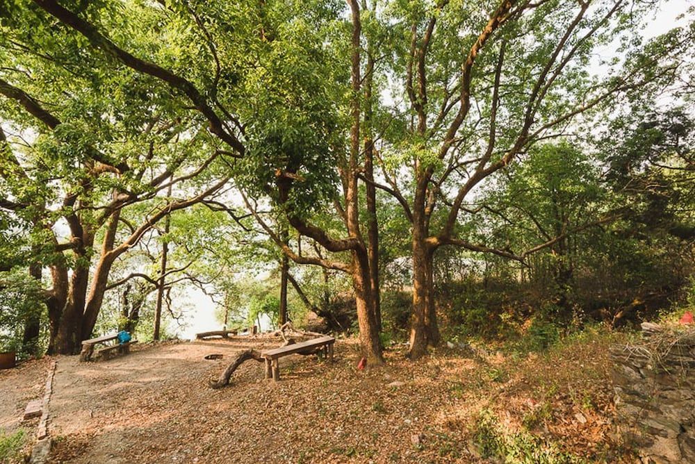 undefined The Camphor Tree-Pura Stays 10