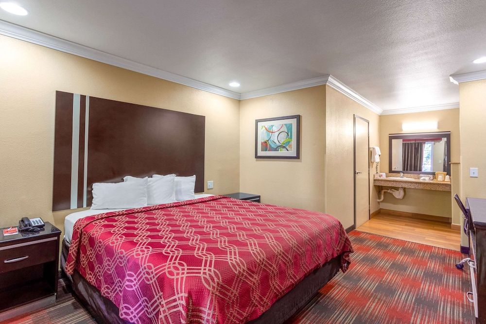 Room, 1 King Bed, Accessible, Non Smoking (Roll-In Shower)