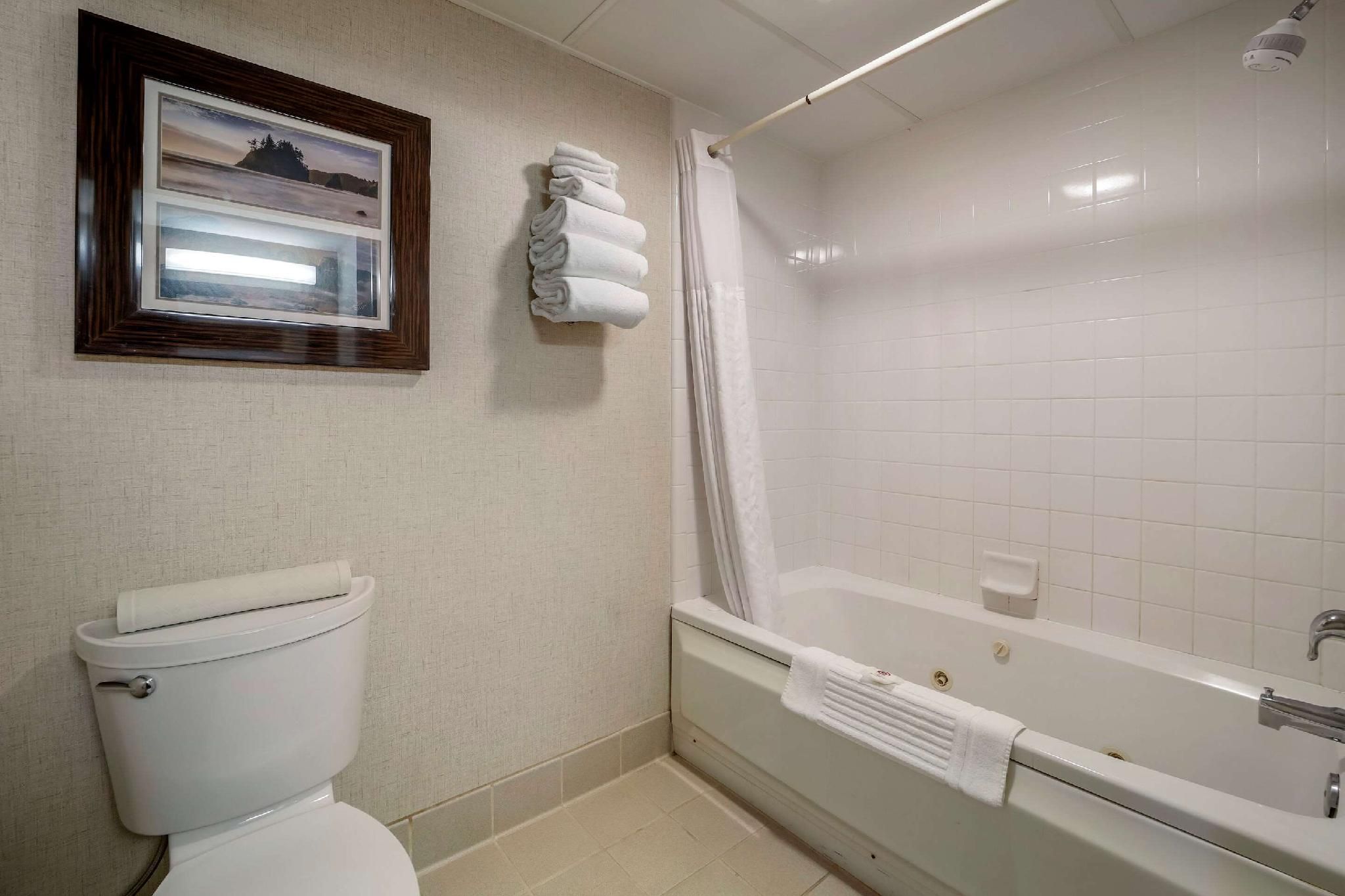 Standard with 1 King Bed