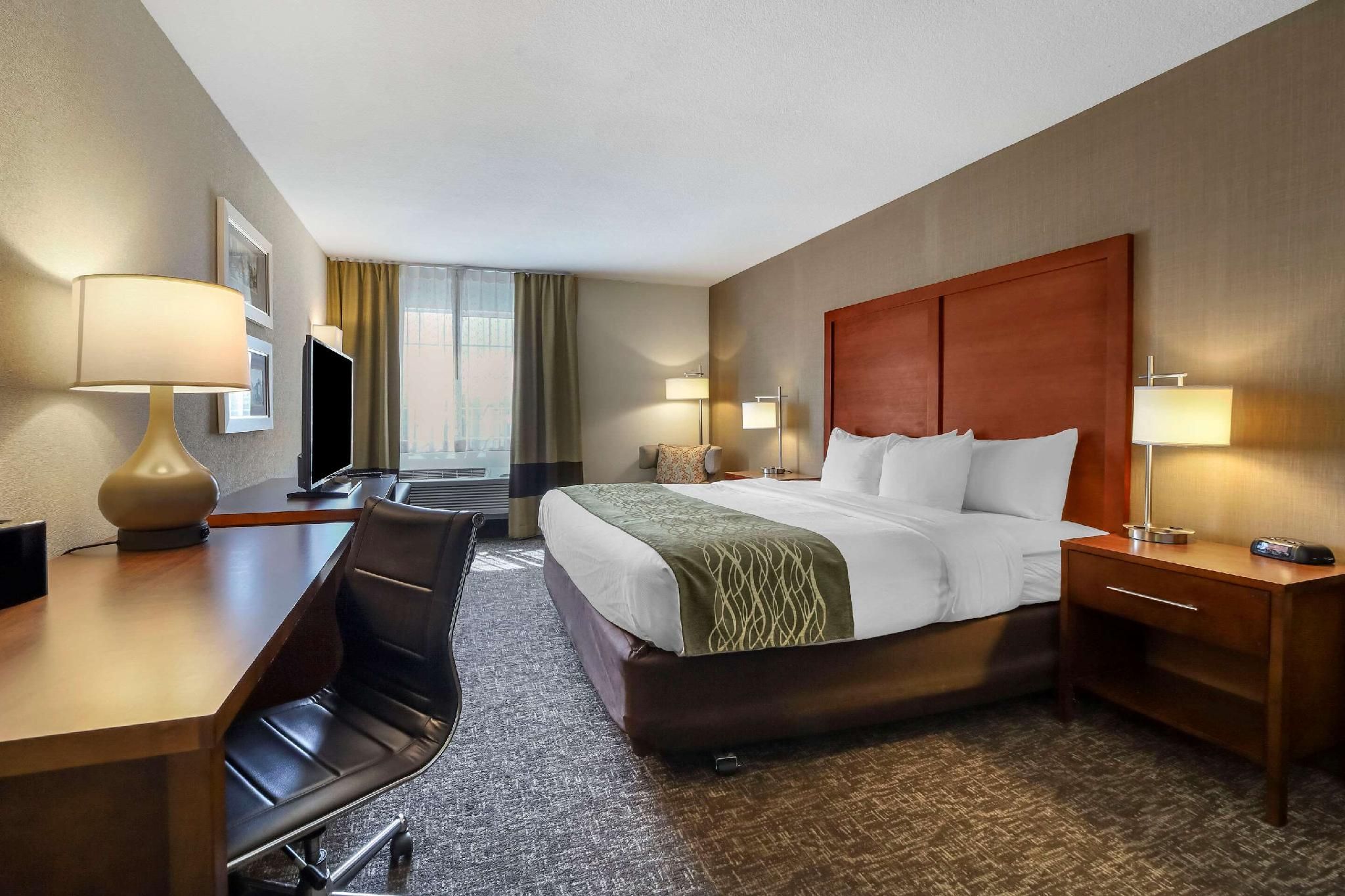 1 King Bed Non-Smoking Accessible