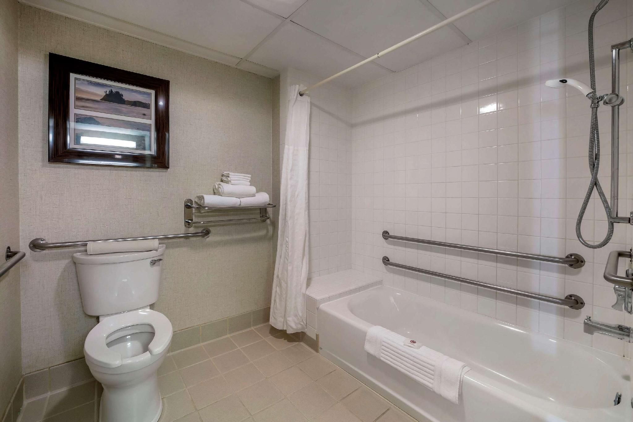 1 King Bed Non-Smoking Accessible