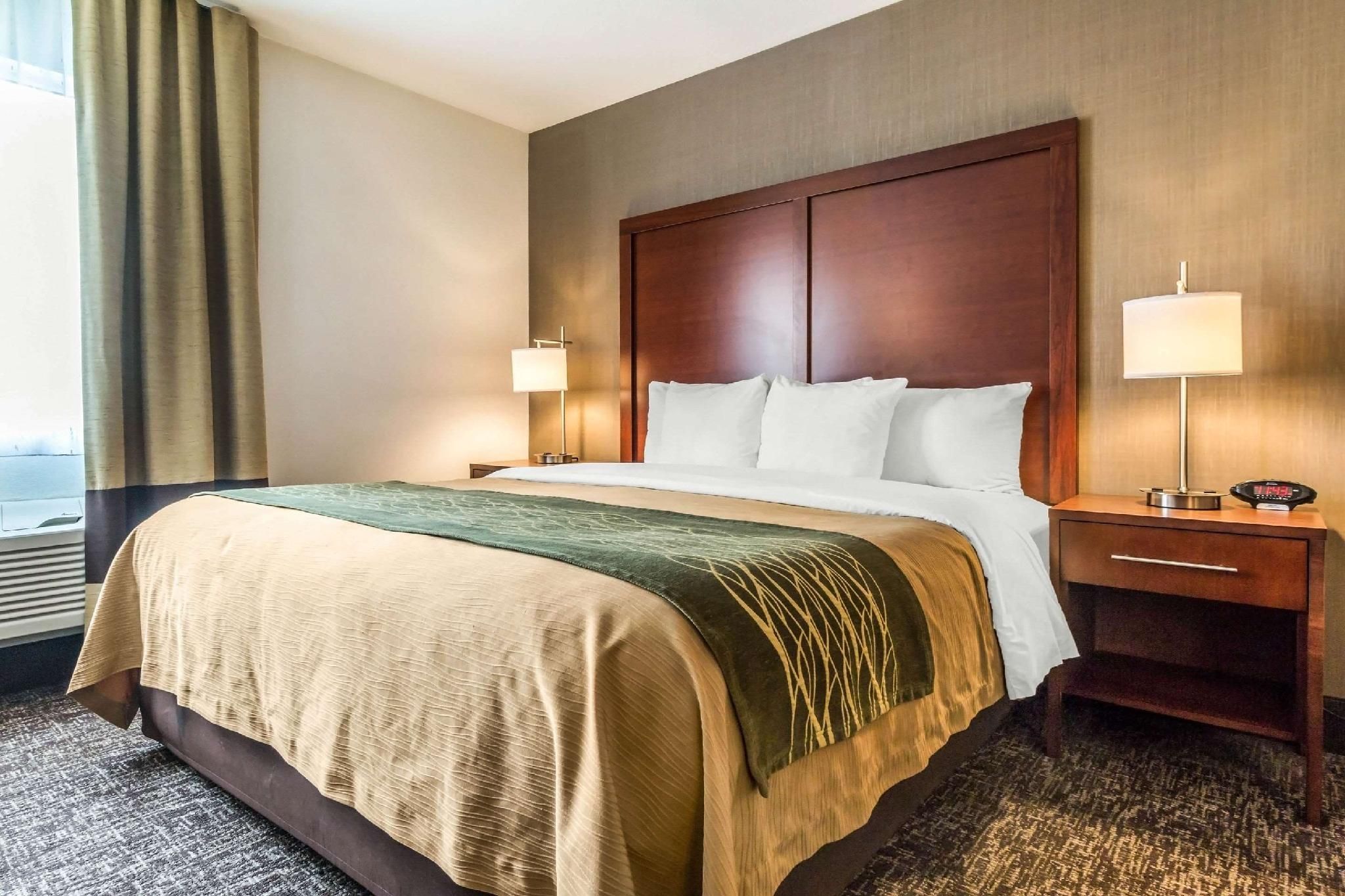 Standard with 1 King Bed