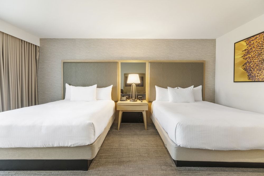 Pala Mesa Golf Resort Standard Room, 2 Queen Beds 3