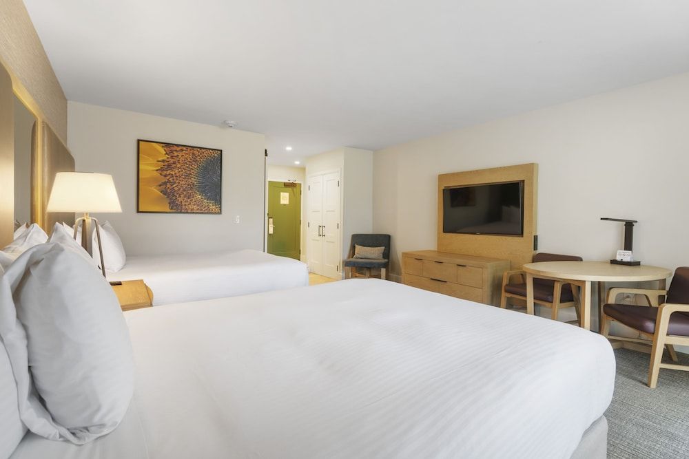 Pala Mesa Golf Resort Standard Room, 2 Queen Beds 2