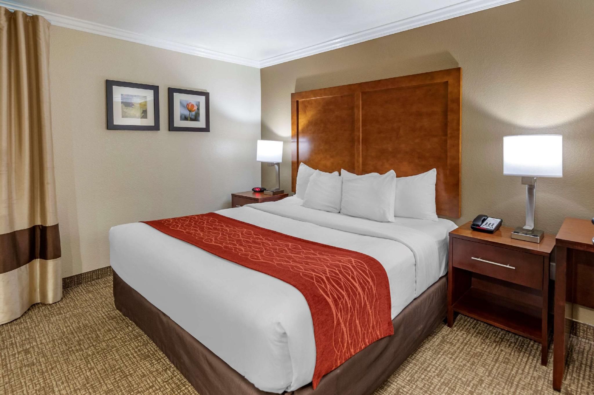 1 King Bed, Suite, Nonsmoking