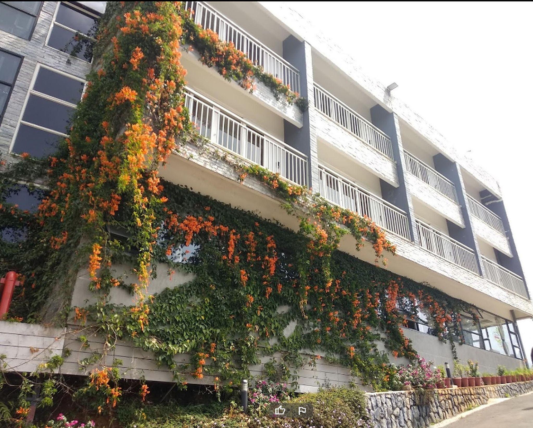 undefined The Munnar Queen 10