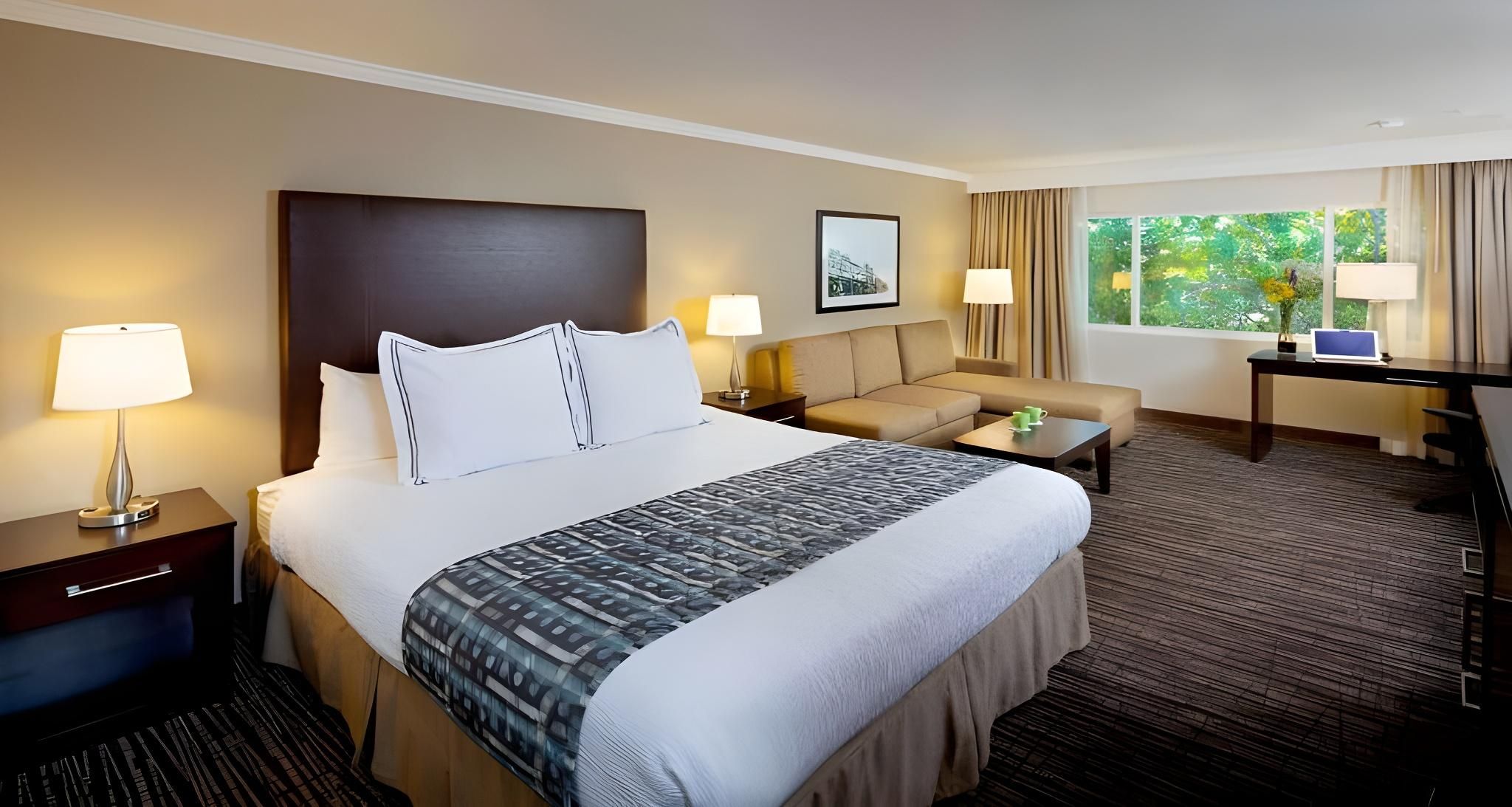 Accessibility - 1 King, Roll-in Shower, Nonsmoking