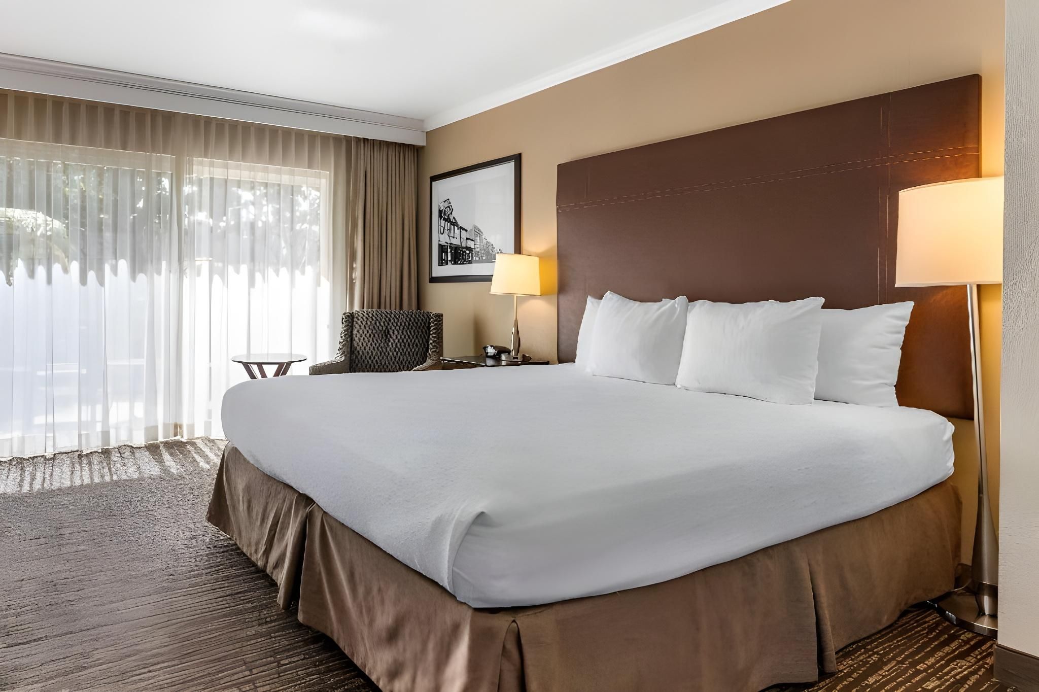 Accessibility - 1 King, Roll-in Shower, Nonsmoking