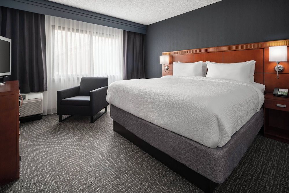 Suite, 1 King Bed with Sofa bed