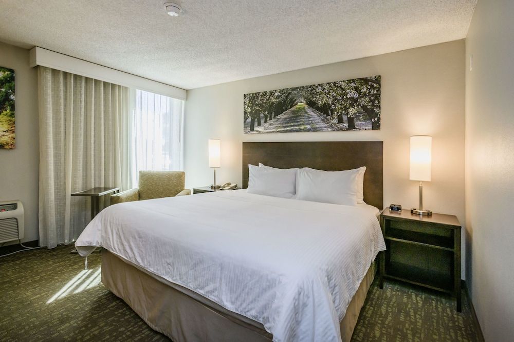 Room, 1 King Bed, Non Smoking