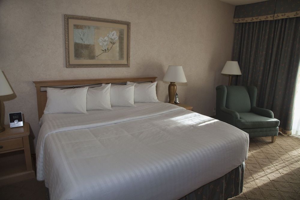 Piccadilly Inn Airport Room, 1 King Bed, Accessible 2