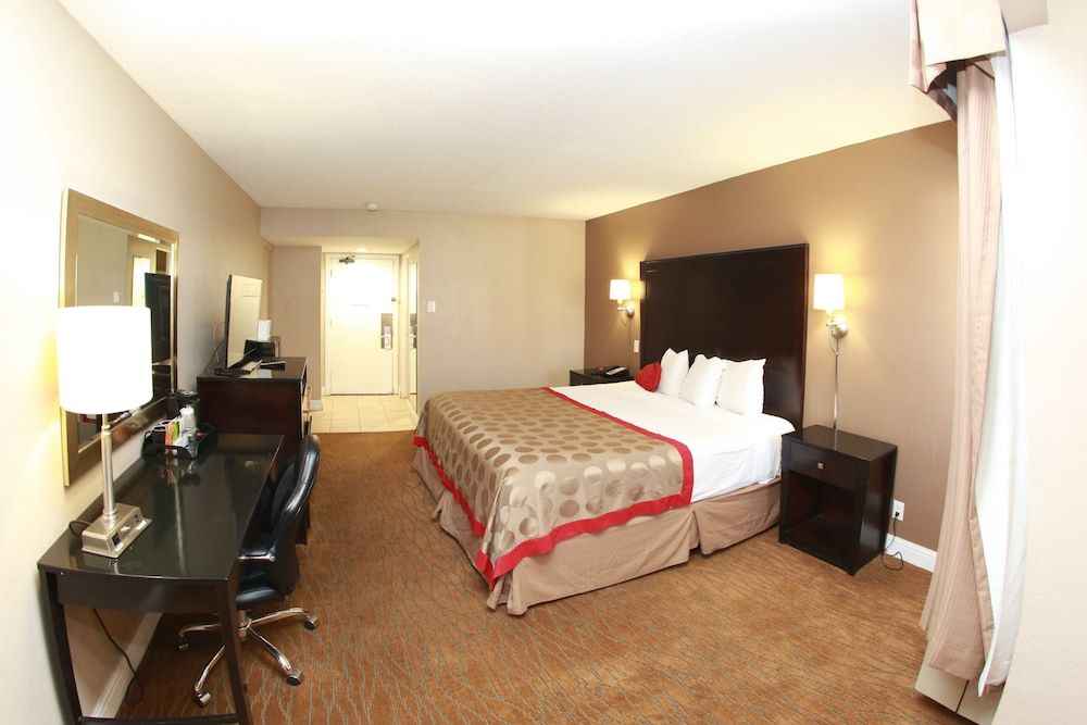 Suite, 1 King Bed, Non Smoking (One-Bedroom)