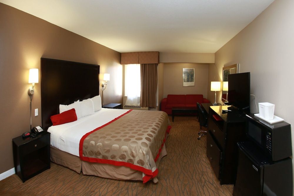 Suite, 1 King Bed, Non Smoking (One-Bedroom)