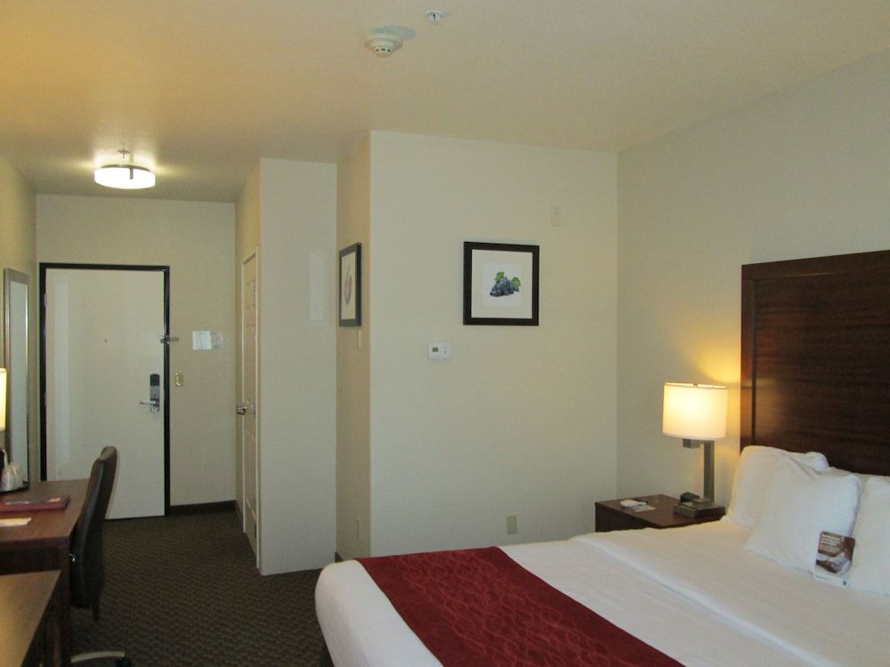 Standard Room, 1 King Bed, Non Smoking