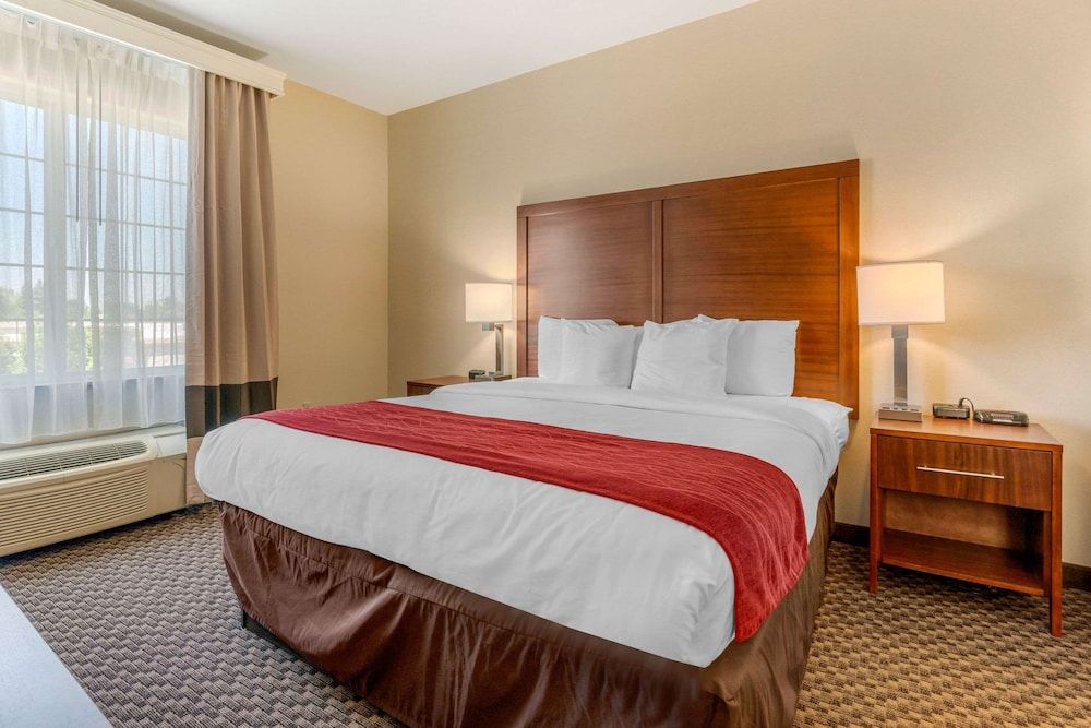 Suite, 1 King Bed with Sofa bed, Accessible, Non Smoking