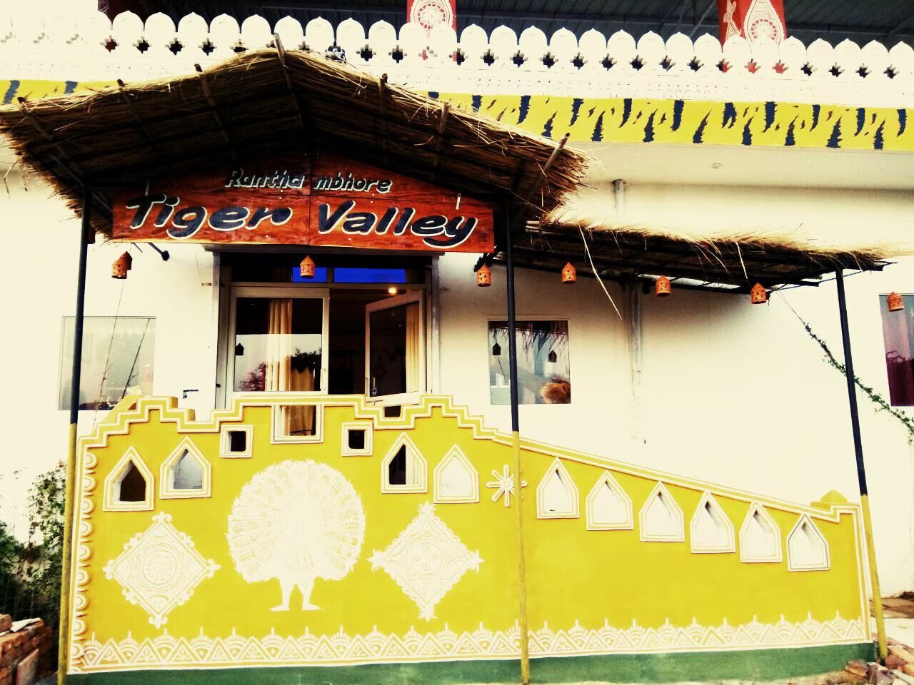 Ranthambhore Tiger Valley