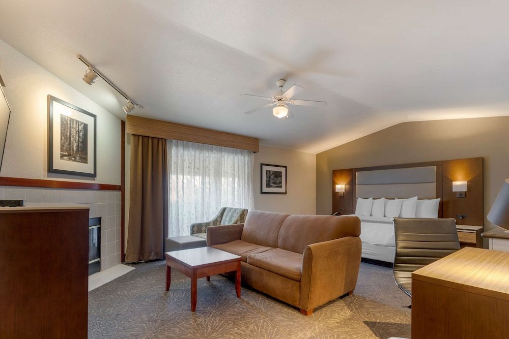 Executive Room, 1 King Bed, Accessible, Non Smoking (with Sofabed)