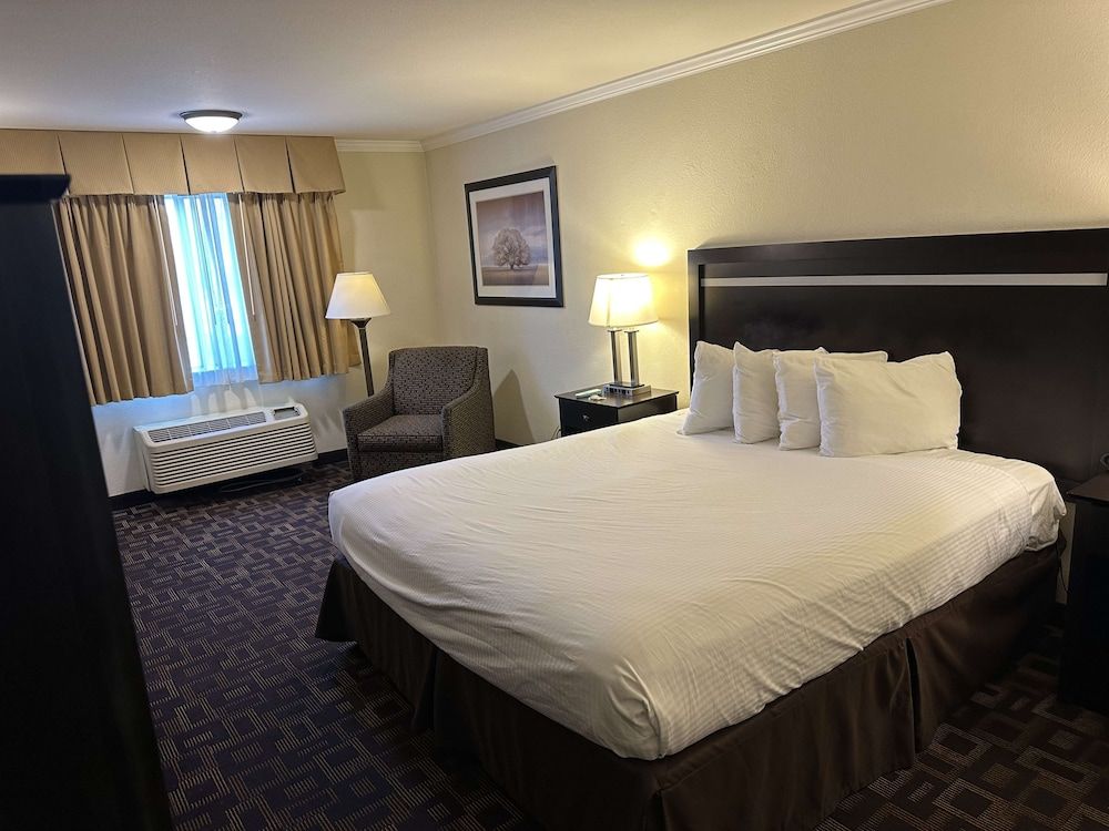 Standard Room, 1 King Bed, Non Smoking, Refrigerator & Microwave