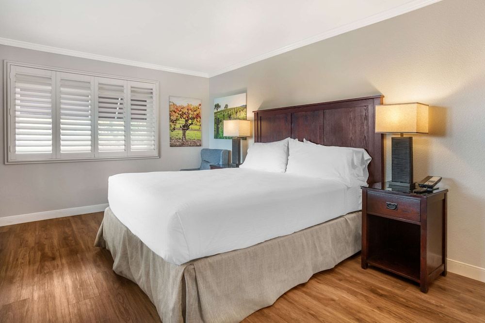 Best Western Dry Creek Inn Standard Room, 1 King Bed, Non Smoking, Refrigerator 3