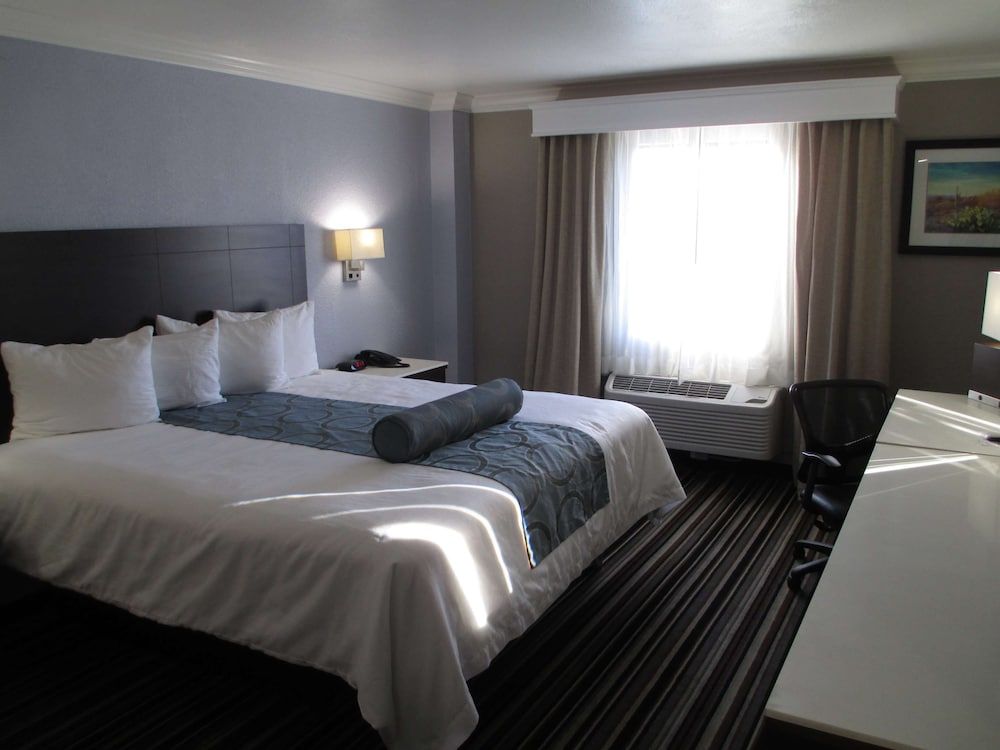 Standard Room, 1 King Bed, Non Smoking, Refrigerator & Microwave (1st Floor;Pet Friendly)