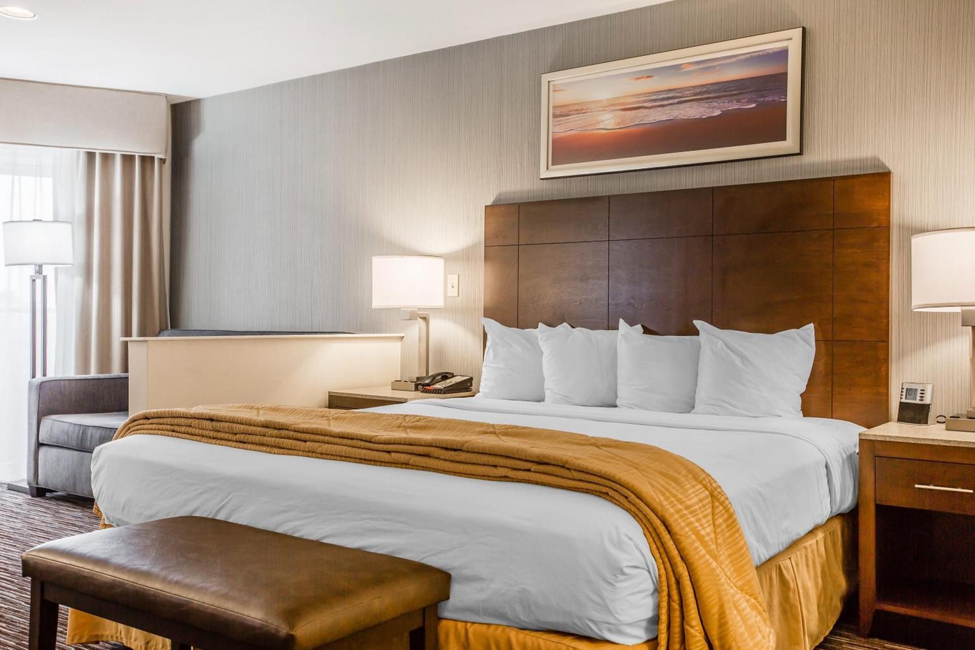 1 King Bed, Nonsmoking, Accessible