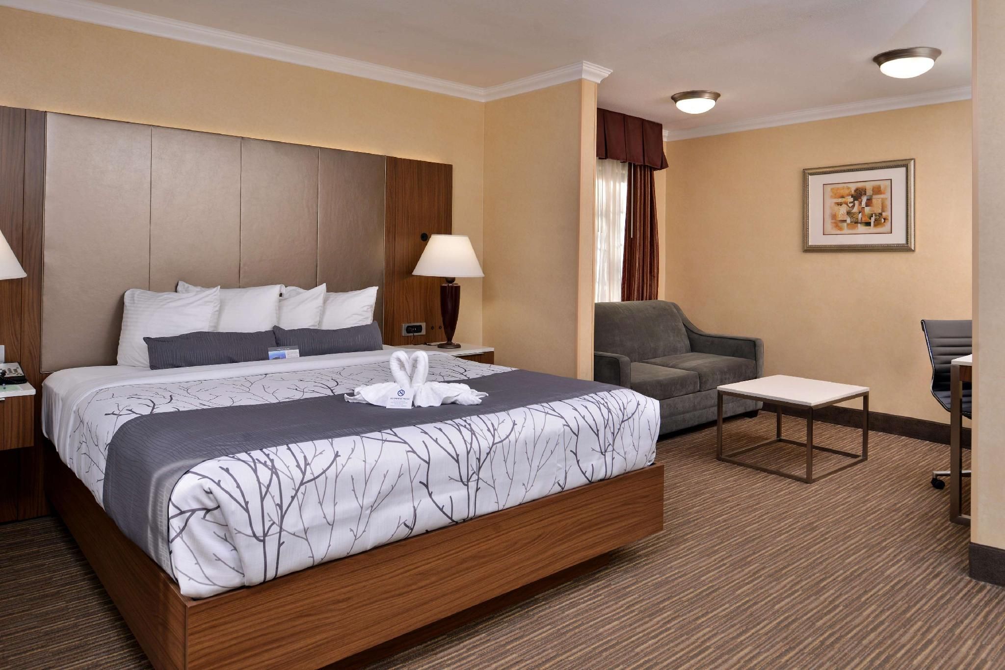 1 King Bed, Nonsmoking, Upper Floor, Sofabed