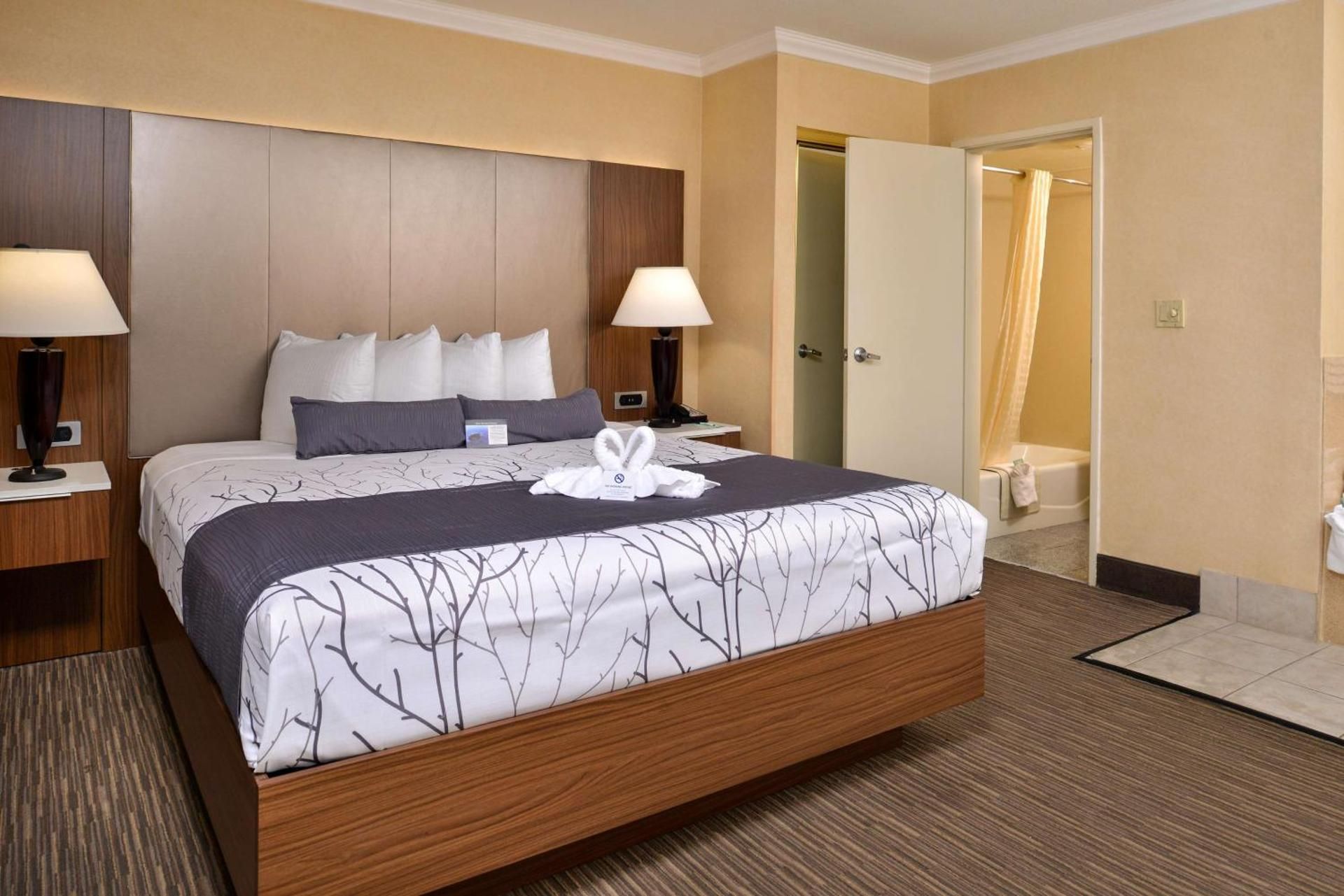 1 King Bed, Nonsmoking, Deluxe Room, Jacuzzi, Lower Level