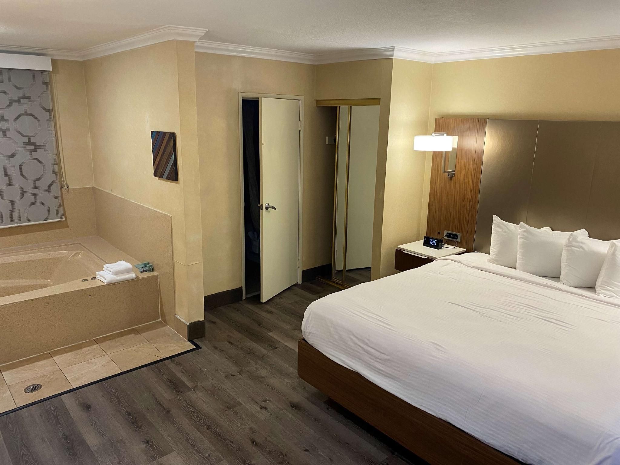 1 King Bed, Nonsmoking, Deluxe Room, Jacuzzi, Lower Level