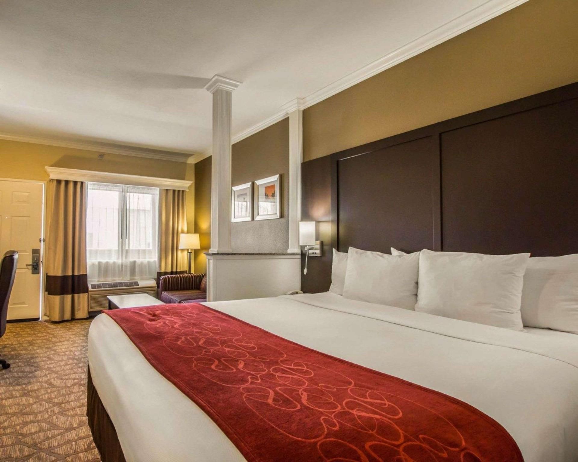 1 King Bed, Suite, Nonsmoking, Accessible
