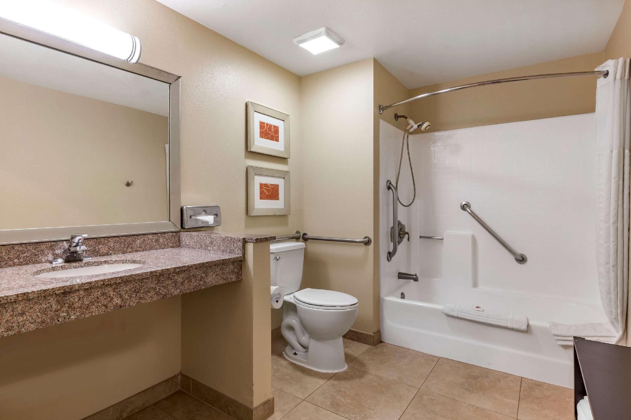 1 King Bed, Suite, Nonsmoking, Accessible
