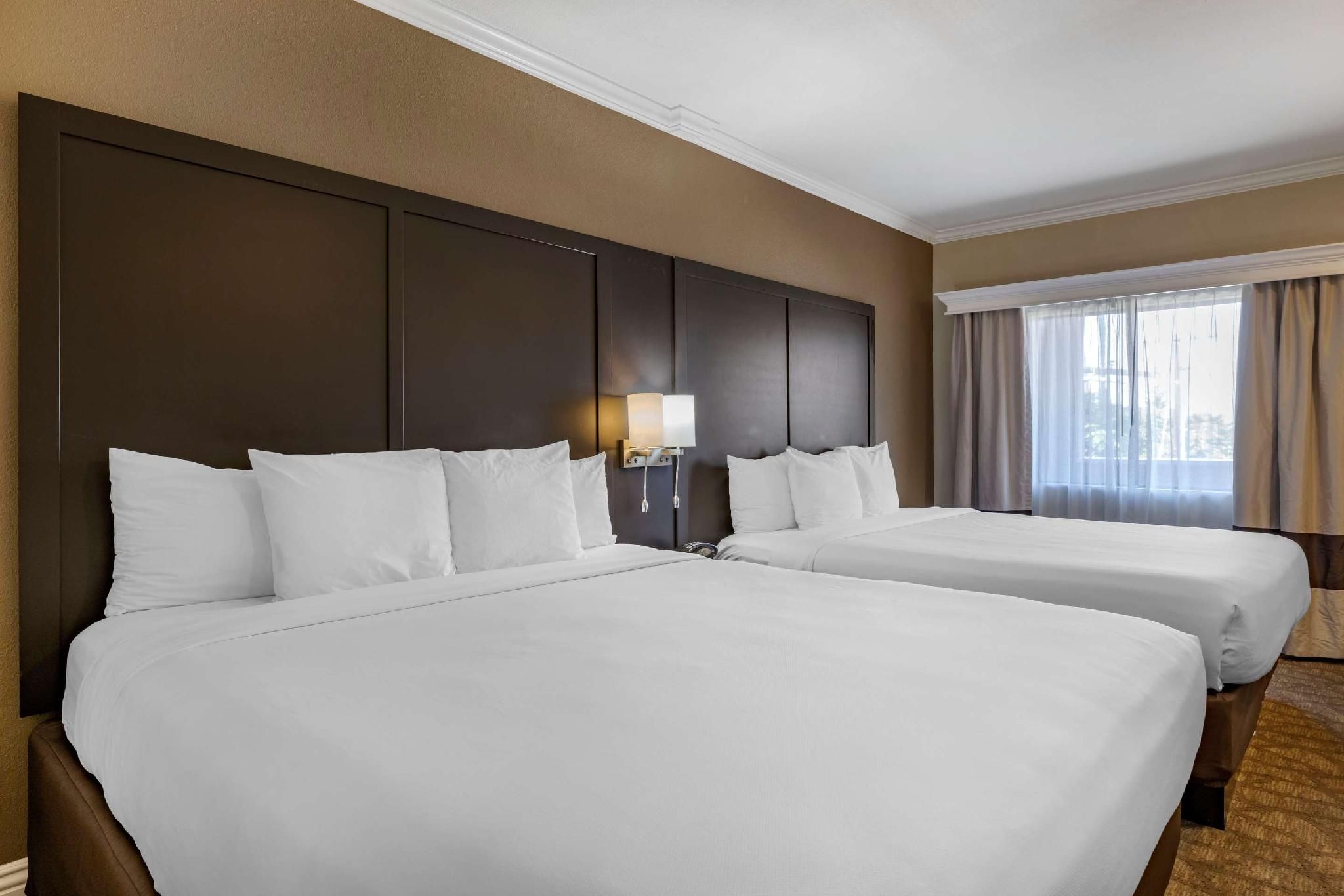 2 King Beds, Nonsmoking