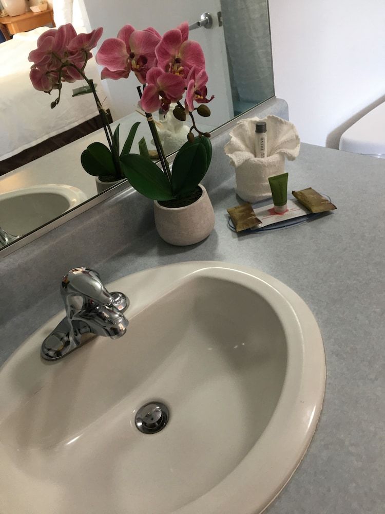 Oceanview Motel - Huntington Beach Deluxe Room, 1 King Bed, Jetted Tub, Non-Smoking, Street View, One Parking Space 8