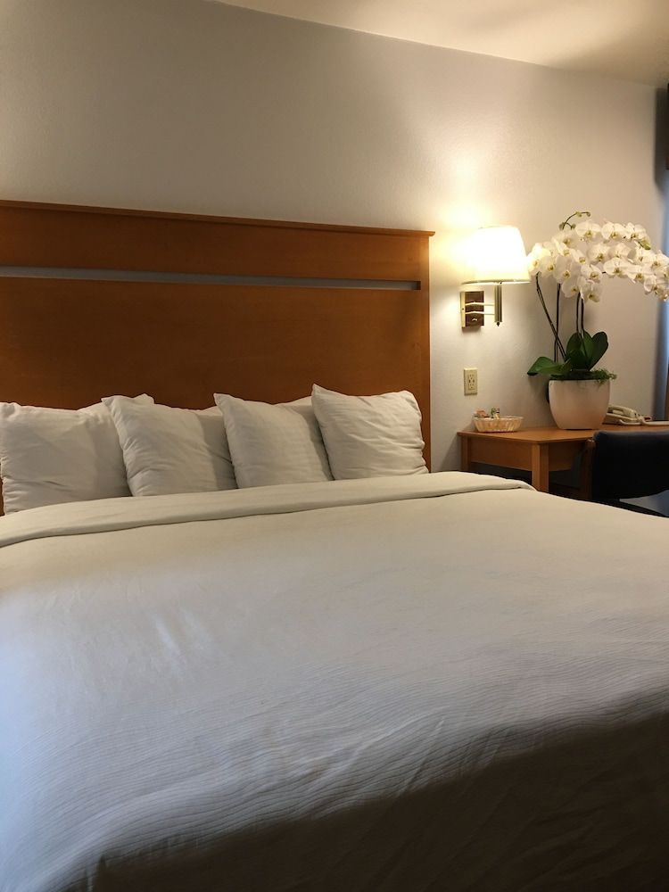 Oceanview Motel - Huntington Beach Deluxe Room, 1 King Bed, Jetted Tub, Non-Smoking, Street View, One Parking Space 3