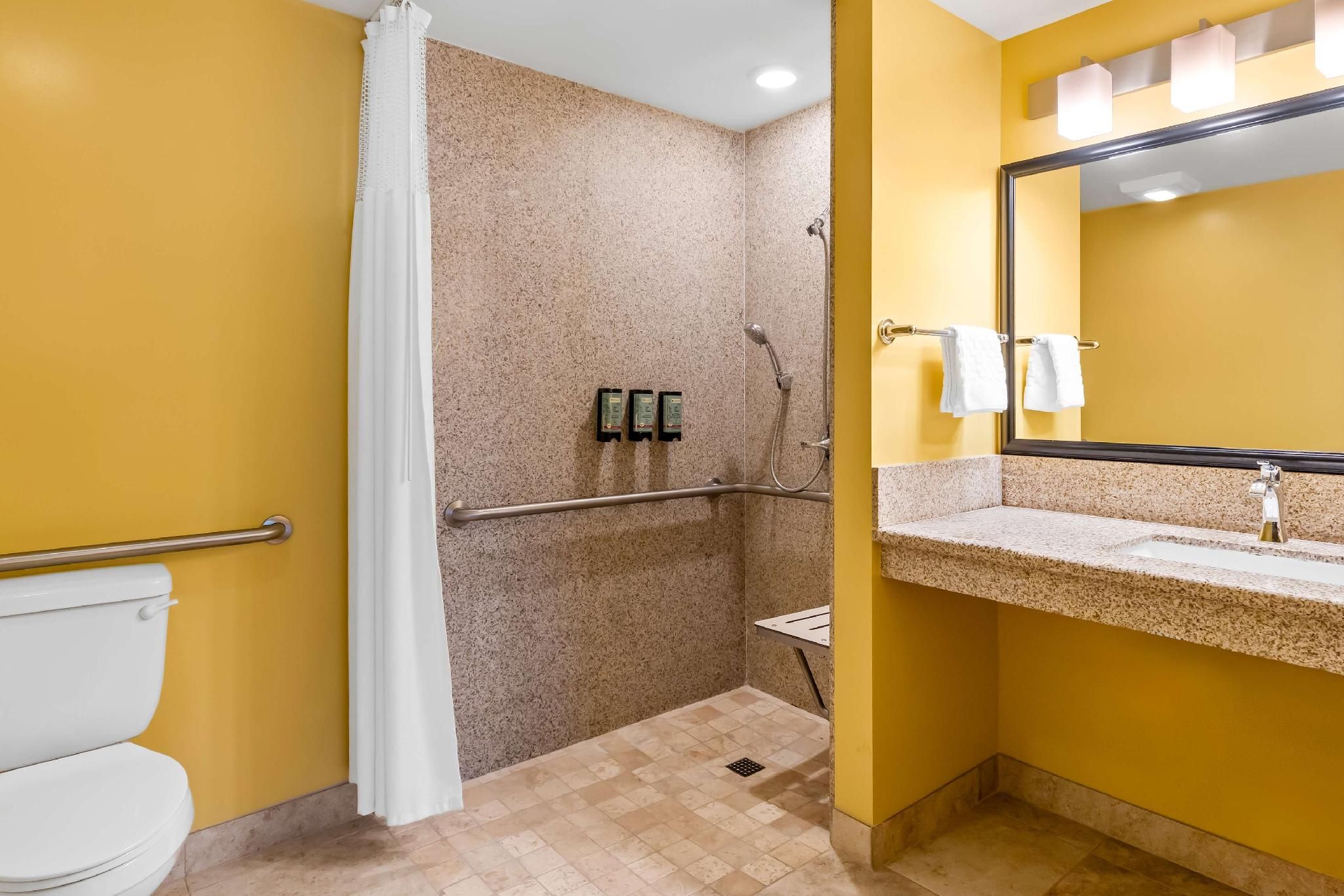 Accessibility - 1 King, Roll-in Shower, Nonsmoking