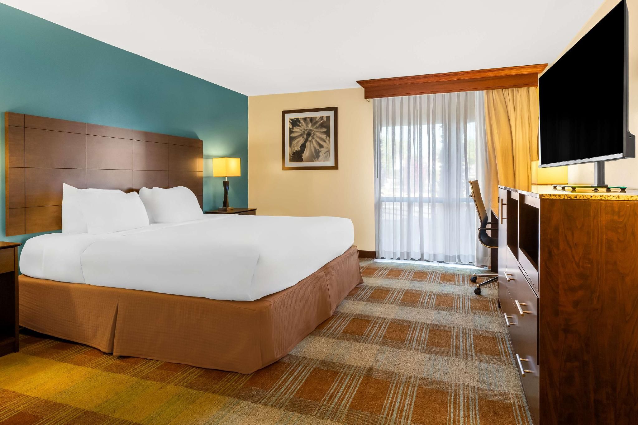 Accessibility - 1 King, Roll-in Shower, Nonsmoking