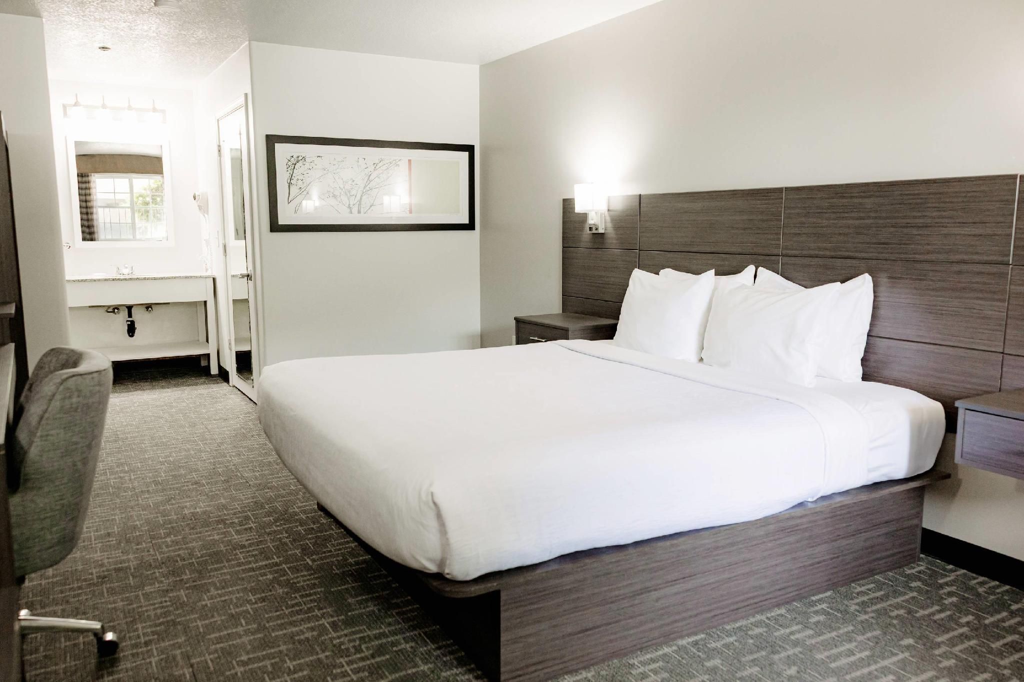 1 King Bed, Suite, Nonsmoking
