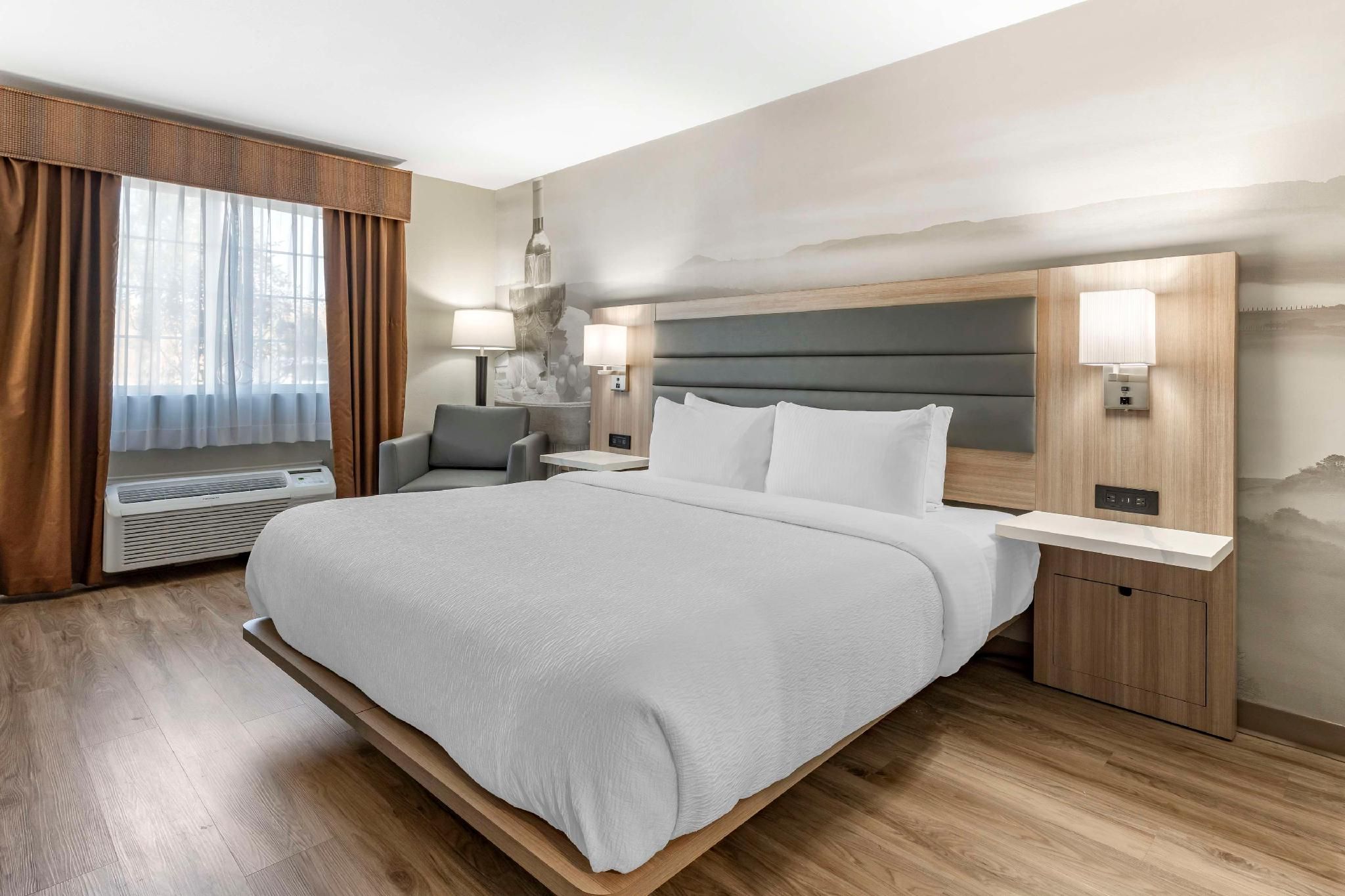 Accessible - 1 King, Mobility Accessible, Bathtub, Non-Smoking