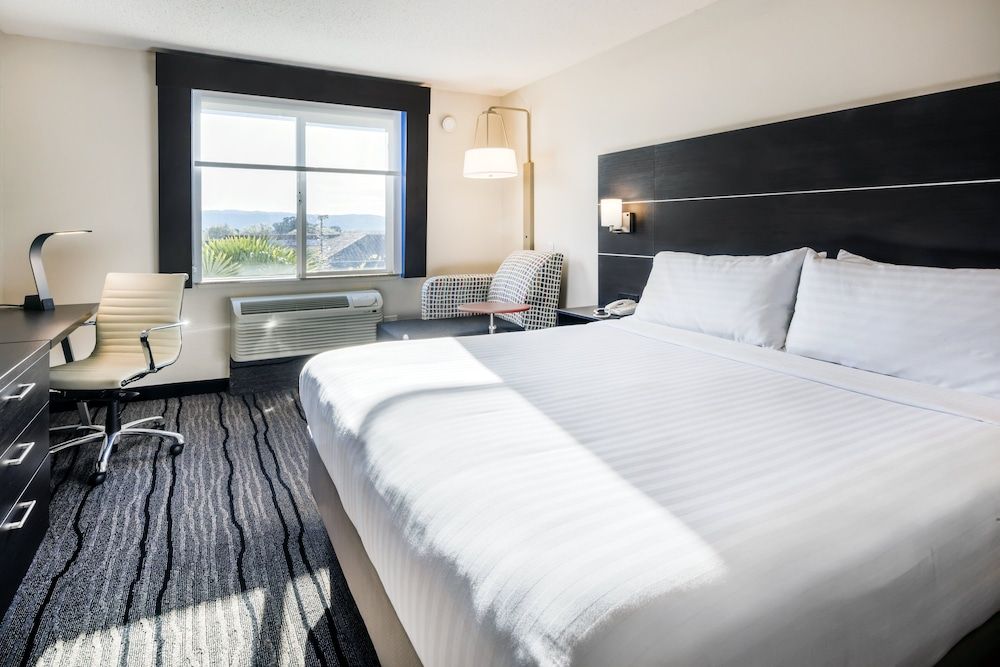 Suite, 1 King Bed