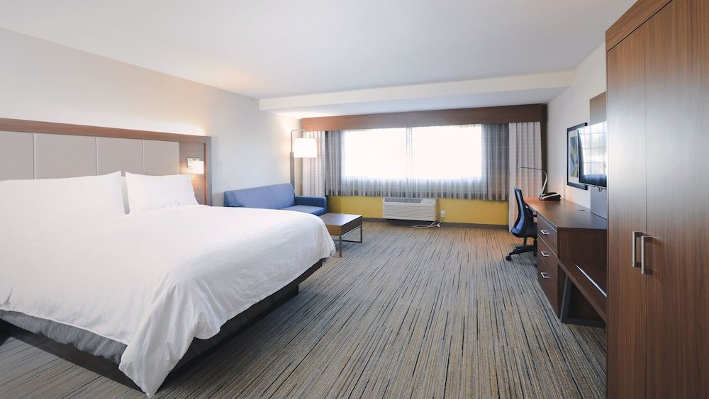 Suite, 1 King Bed with Sofa bed