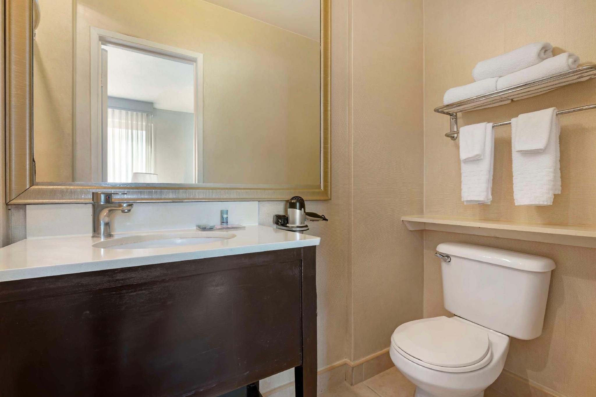 undefined Best Western Royal Palace Inn & Suites 8