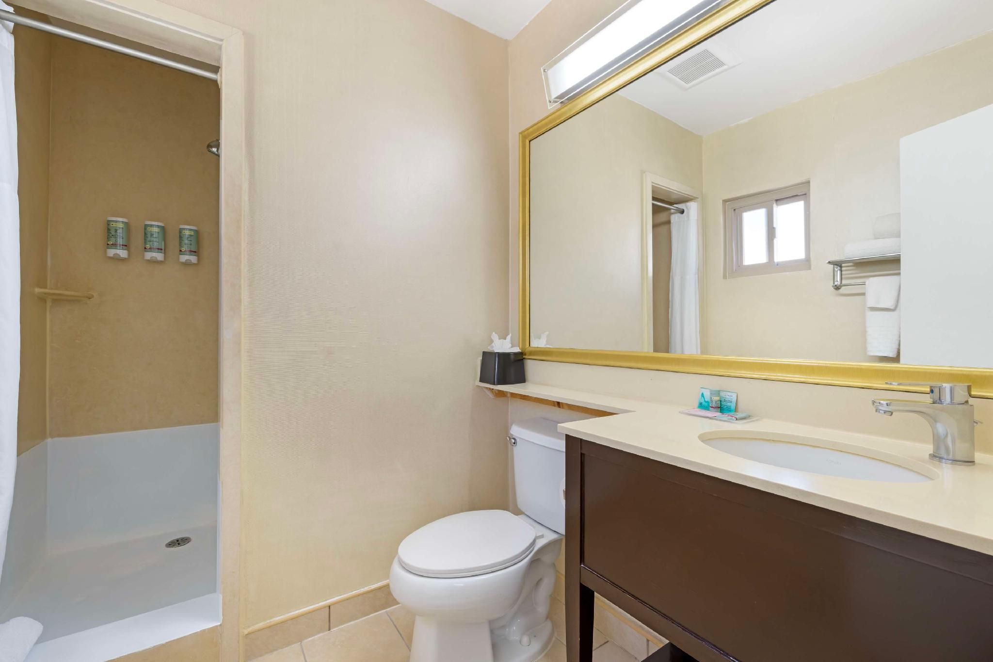 undefined Best Western Royal Palace Inn & Suites 9