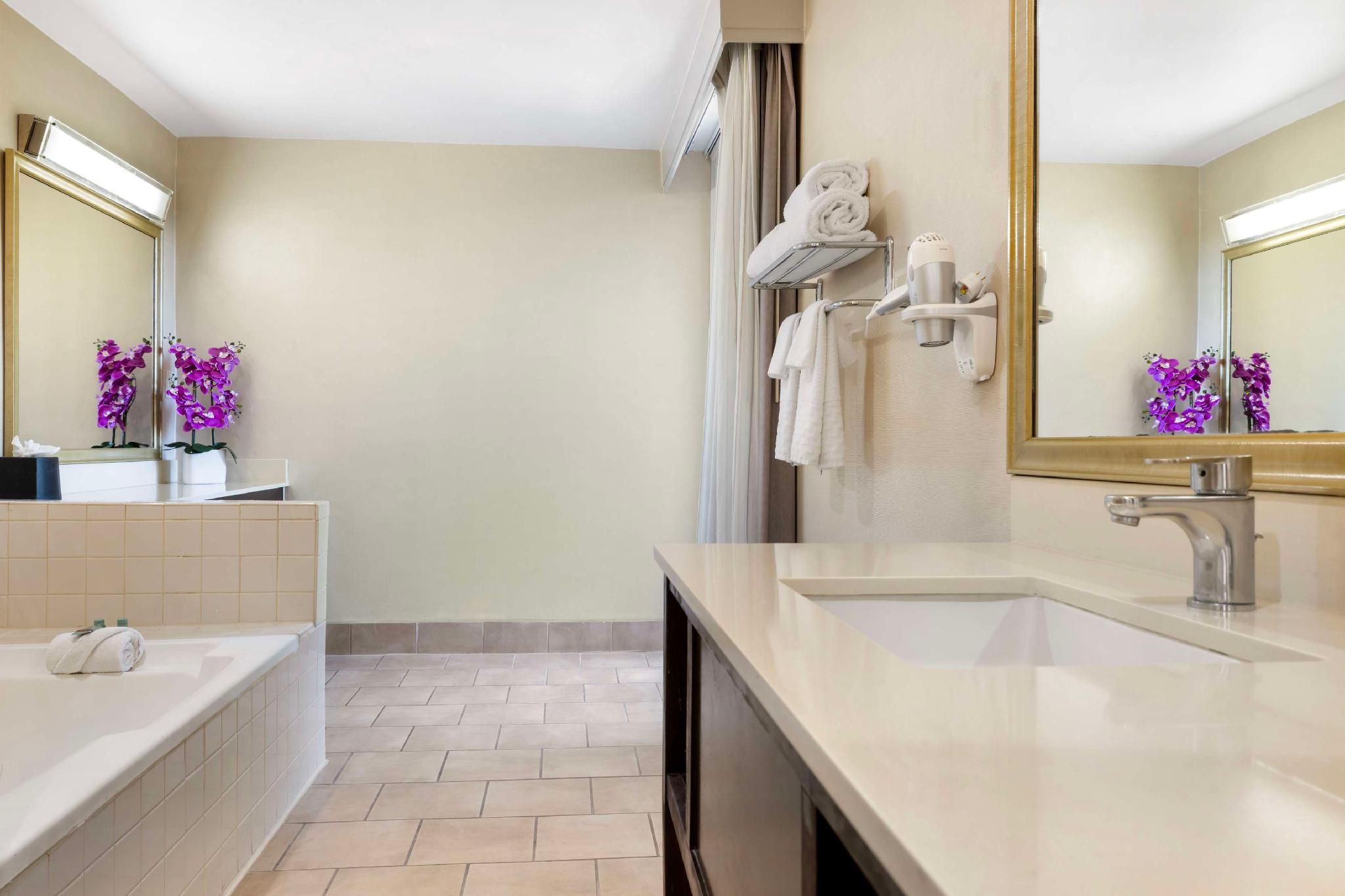 Suite - 1 Queen Bed, Nonsmoking, Jacuzzi, Sofabed