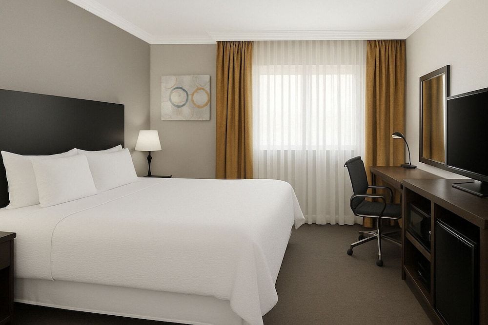 The Live Hotel King Bed