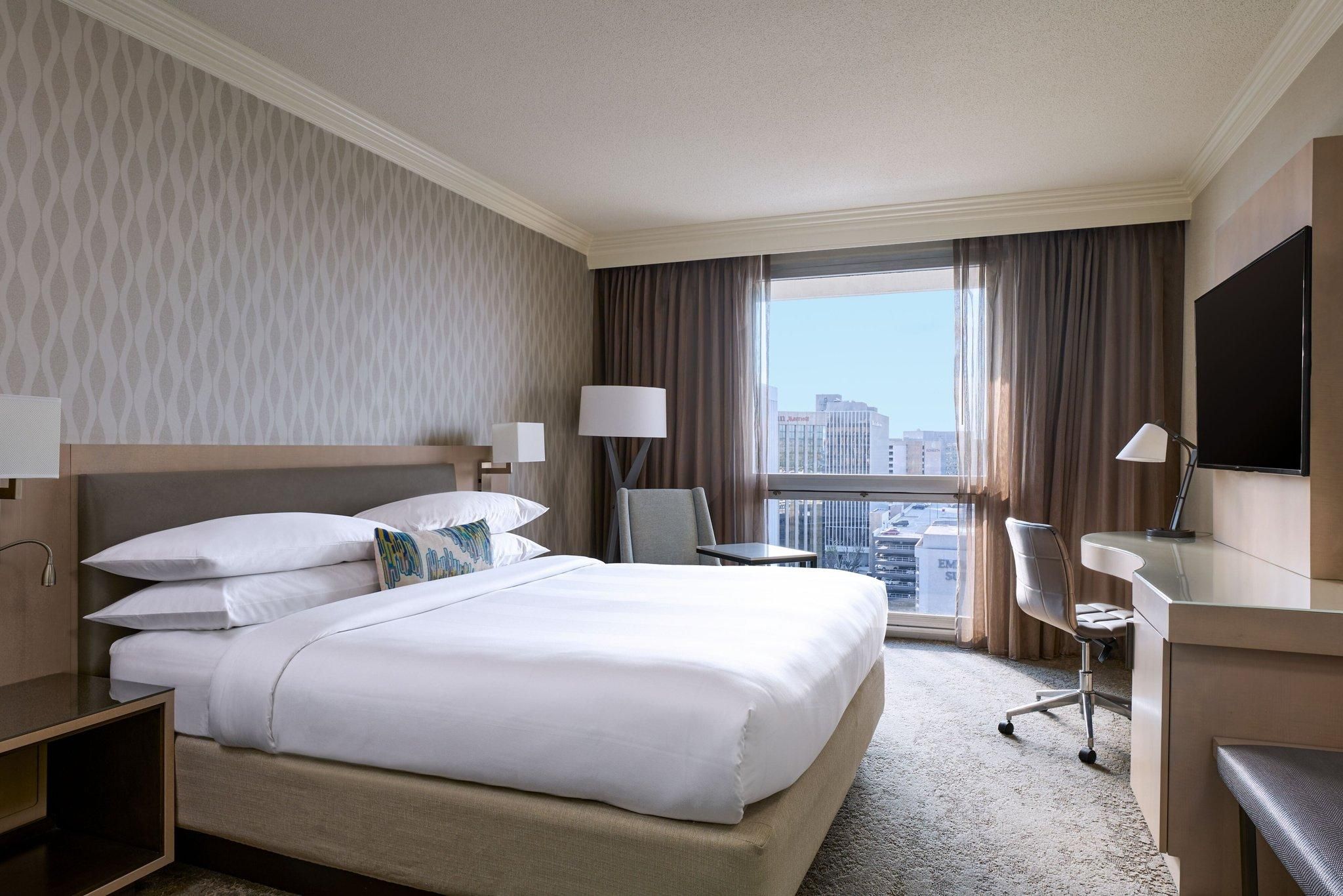 1 Bedroom Suite, 1 King, Sofa bed