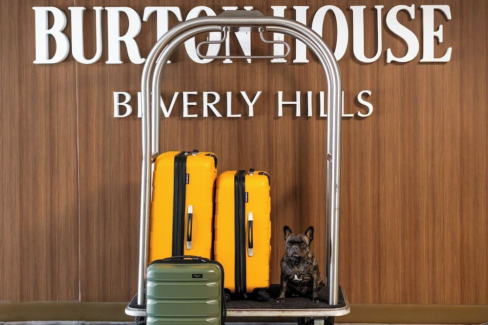 undefined Burton House, Beverly Hills, A Tribute Portfolio Hotel 4